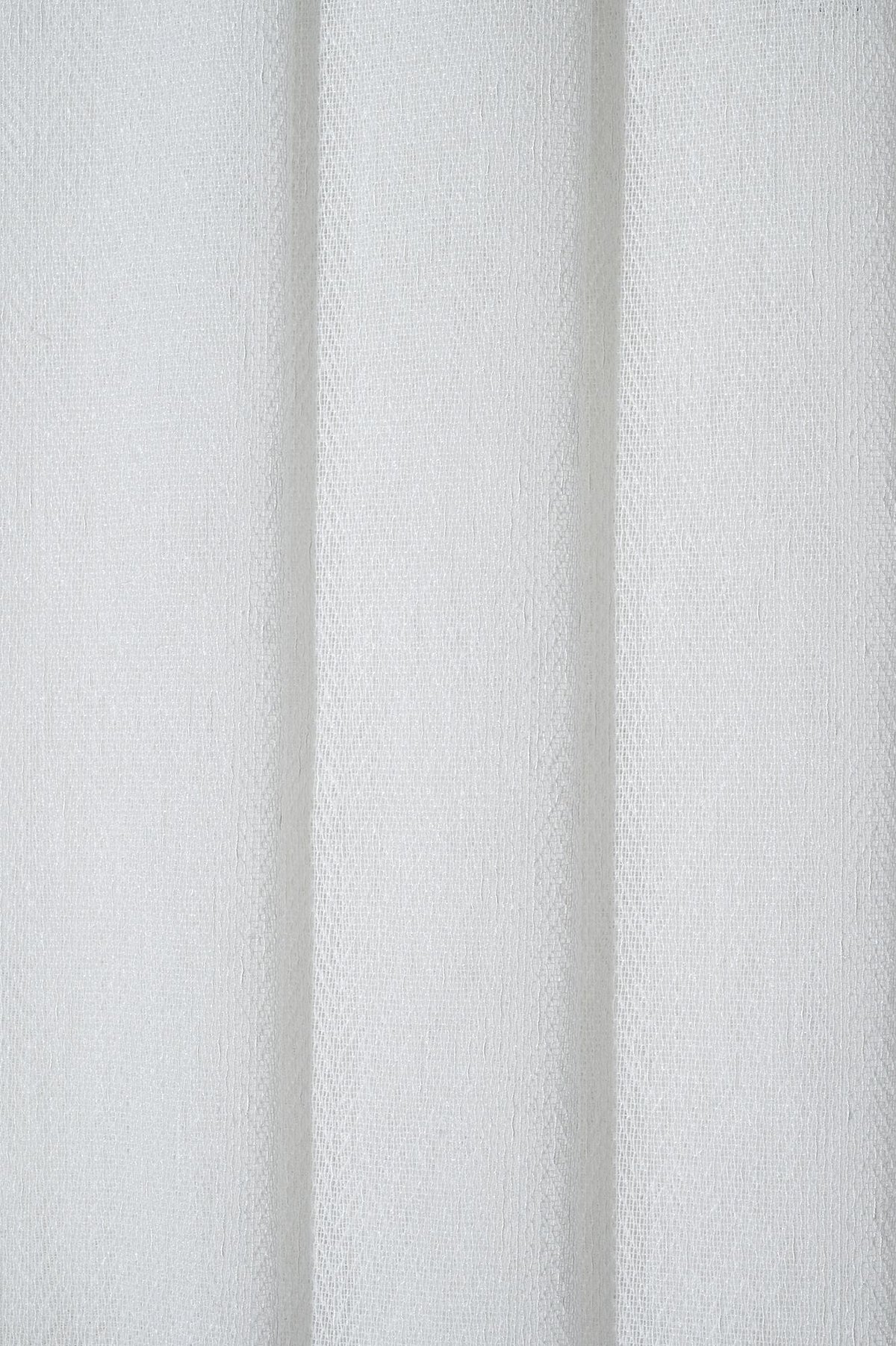 Fishbone Off White 5208370-01