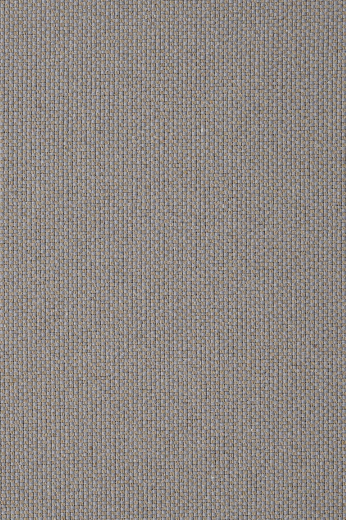 Multiple Olive 7803736-01