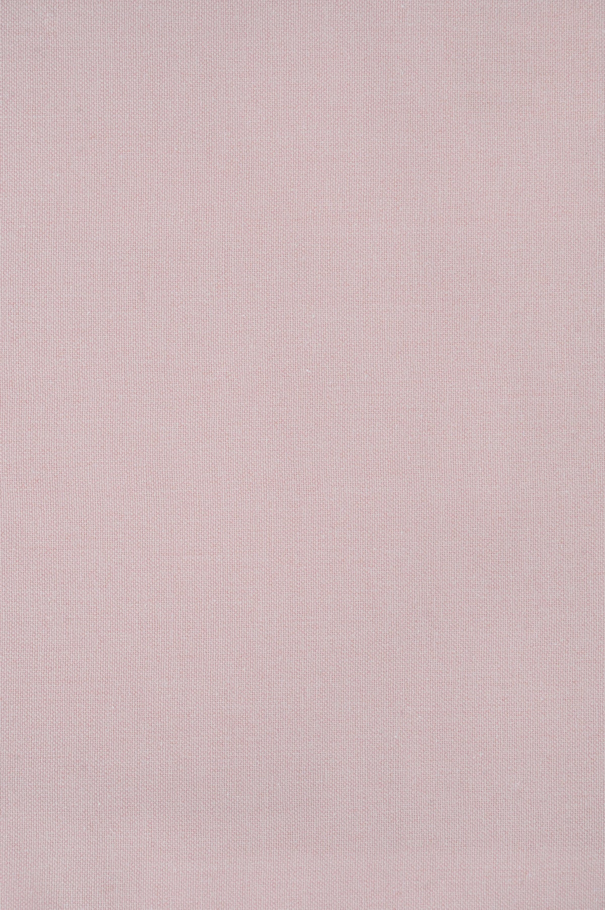Benefit Pink 8202655-01