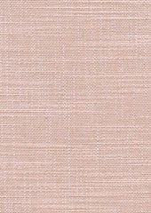 Alo 147295 Pino