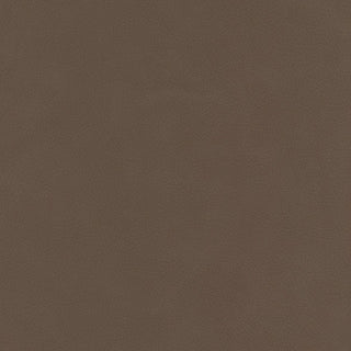 Baha 206149 Hunting Ground