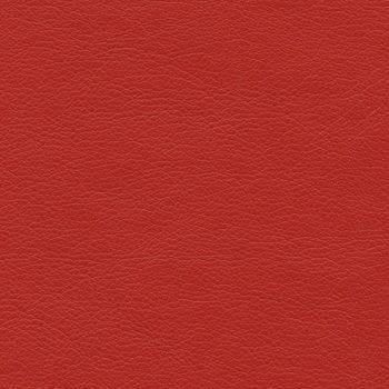 Cadence H087 Ruby Tuesday