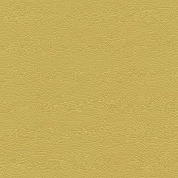 Cadence H091 Melona