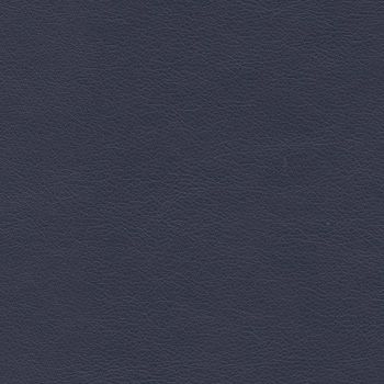 Cadence H097 Sailor
