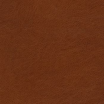 Cadence H098 Aberdeen