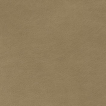 Cadence H100 Naked Grey