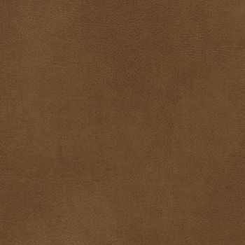Cadence H104 Amber Sugar