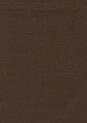Centry 300618 Allspice