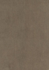 Clooney 159518 Sparrow