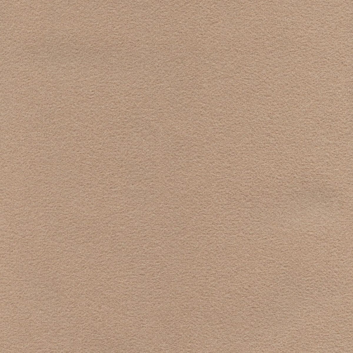 Conrad 220602 Sawdust