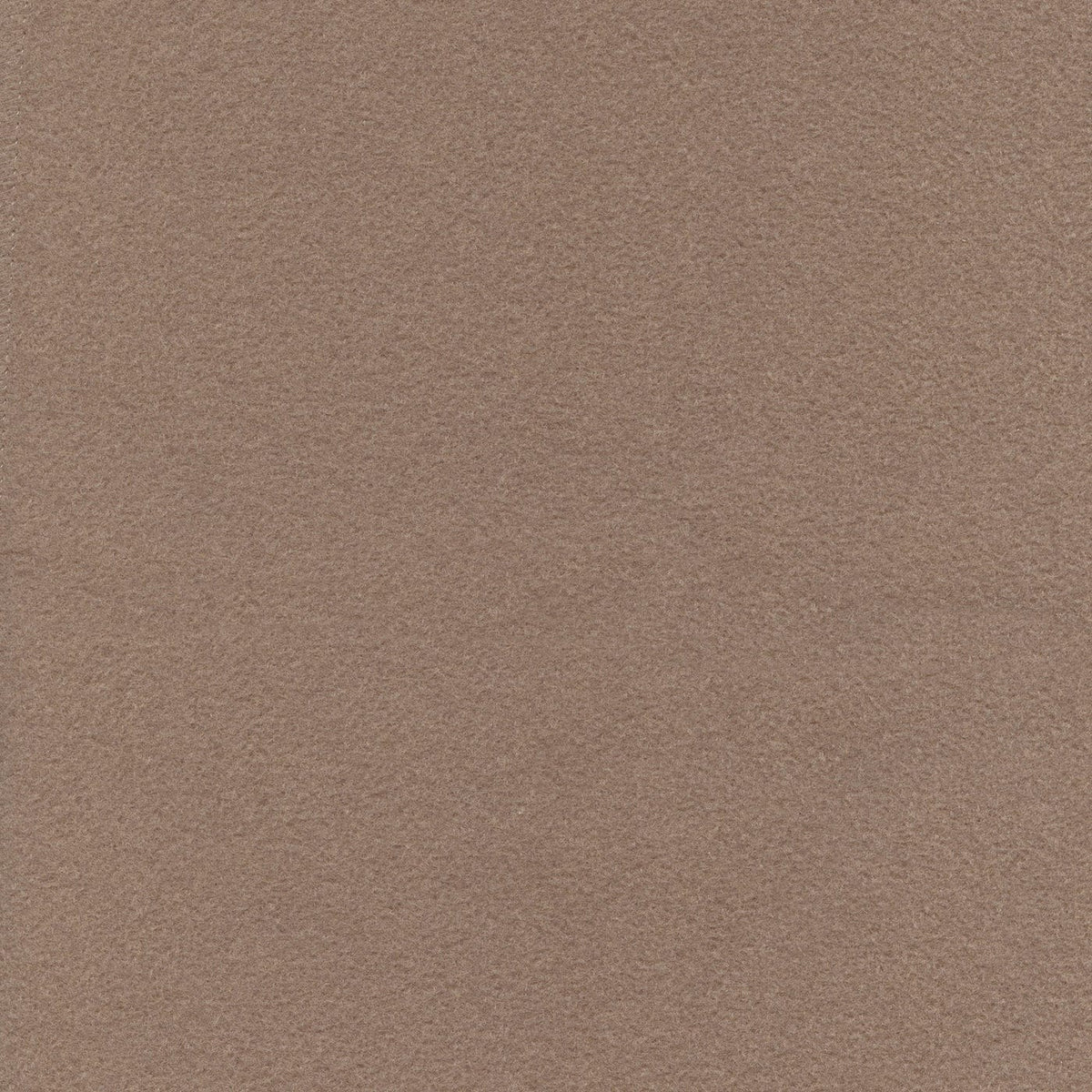 Conrad 220603 Timber