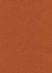 Conrad 220605 Rez