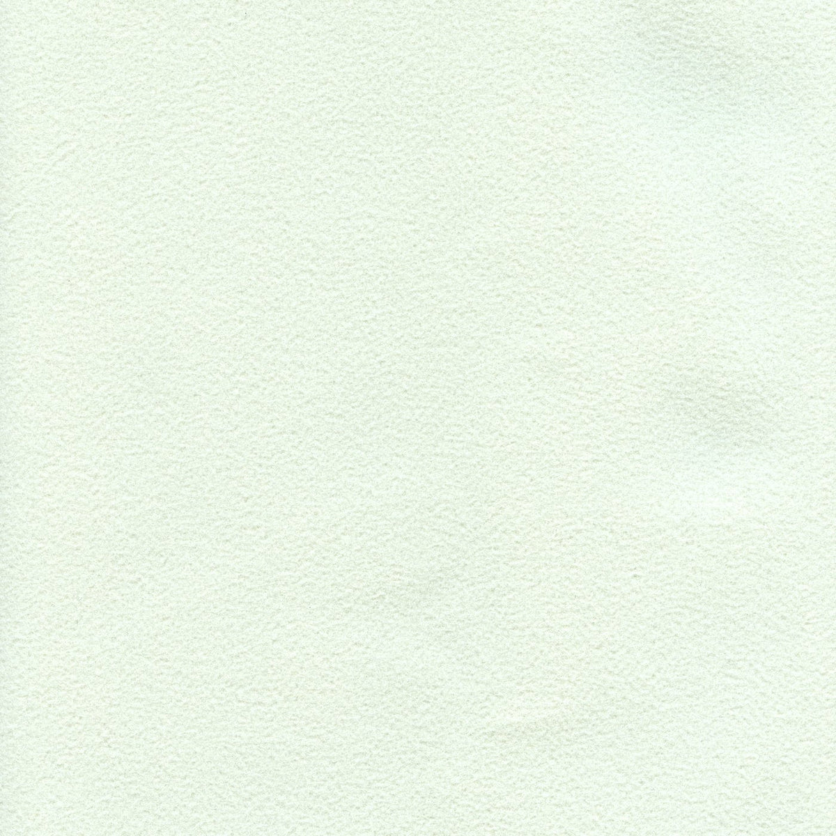 Conrad 220609 Menthe