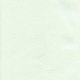 Conrad 220609 Menthe