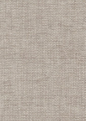 Crave 220251 Pashmina