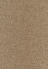 Delano Mohair 664279 Baja Taupe