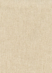 Ezra 155112 Wheat