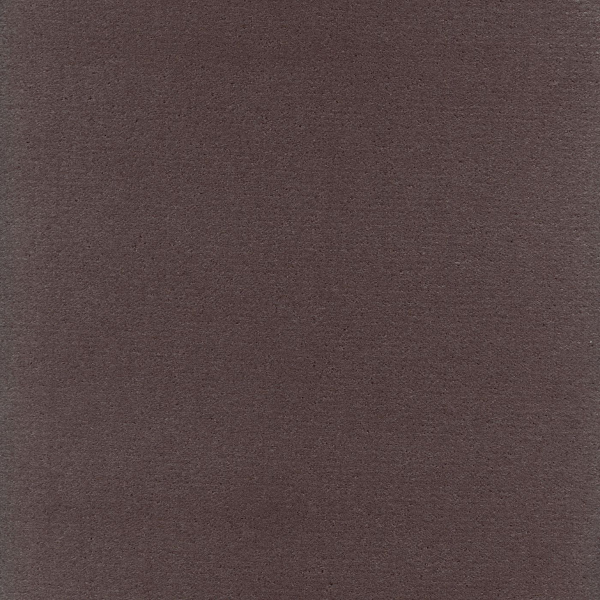 Fomo 219665 Wenge