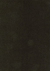 Fomo 219664 Picholine