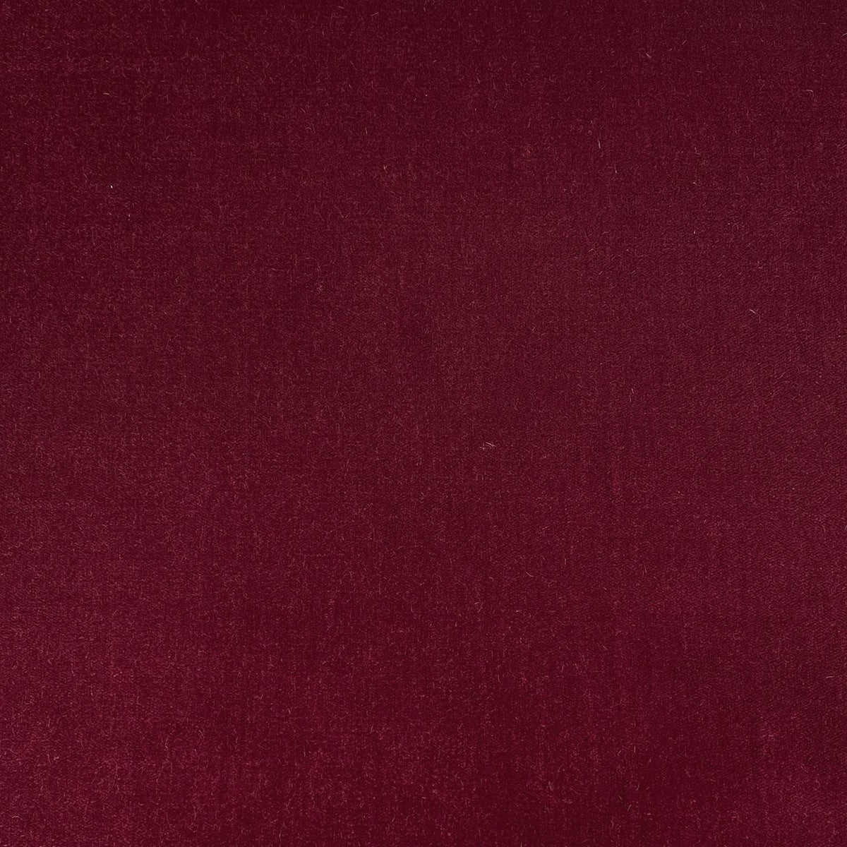 Fomo 219660 Rossetto
