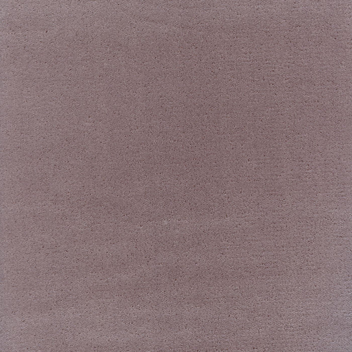 Fomo 219676 Lavendar