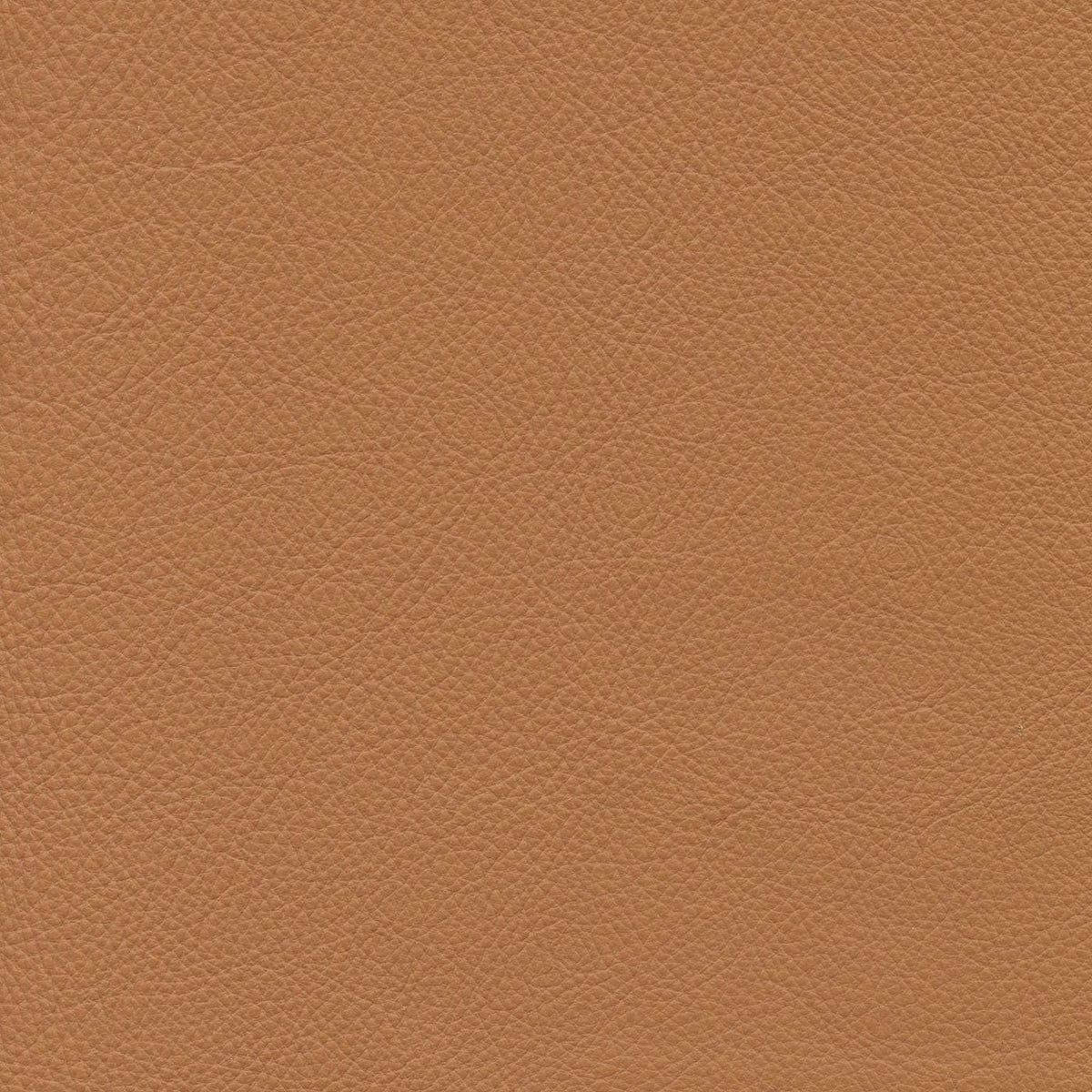 Genesis Cl326 Tannery