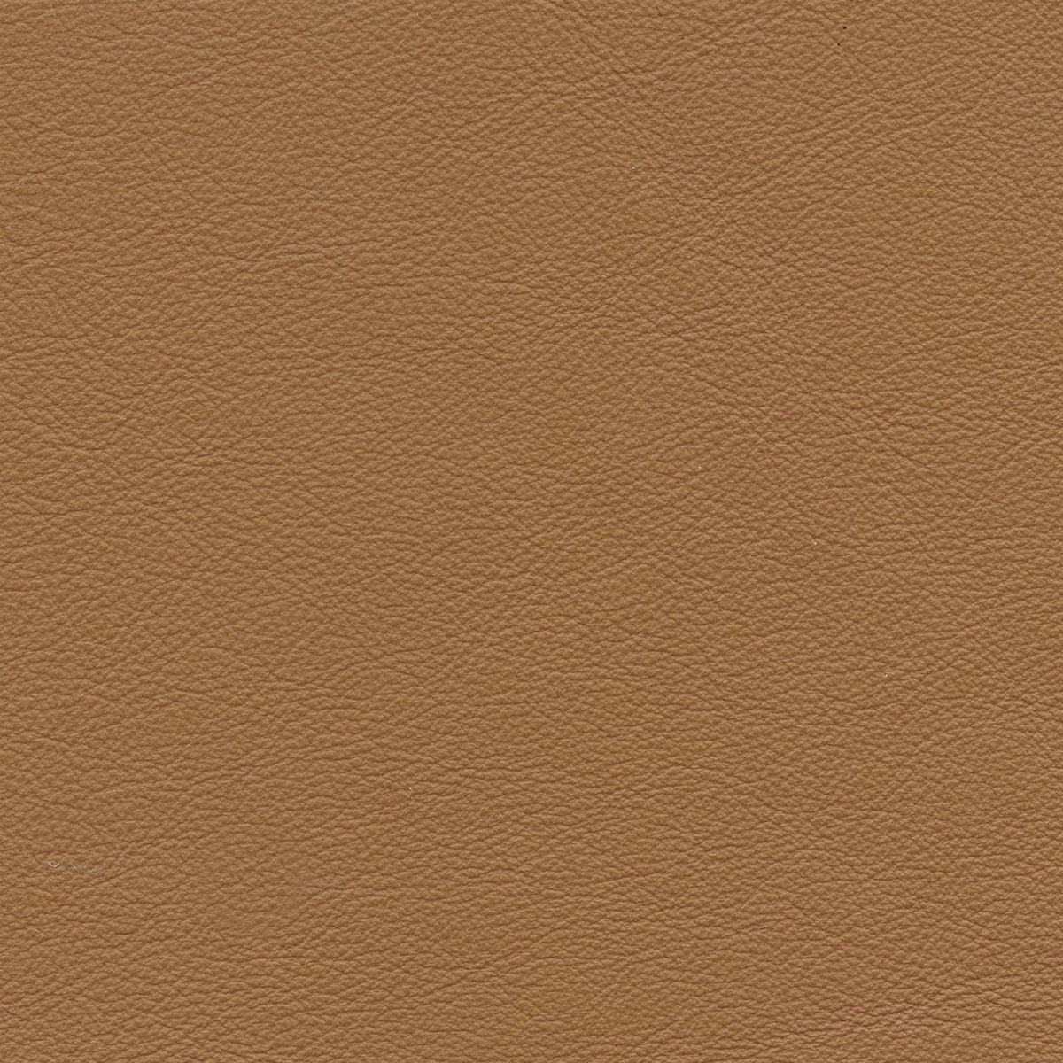 Genesis Cl348 Almond