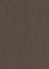 Kismet 221103 Viking