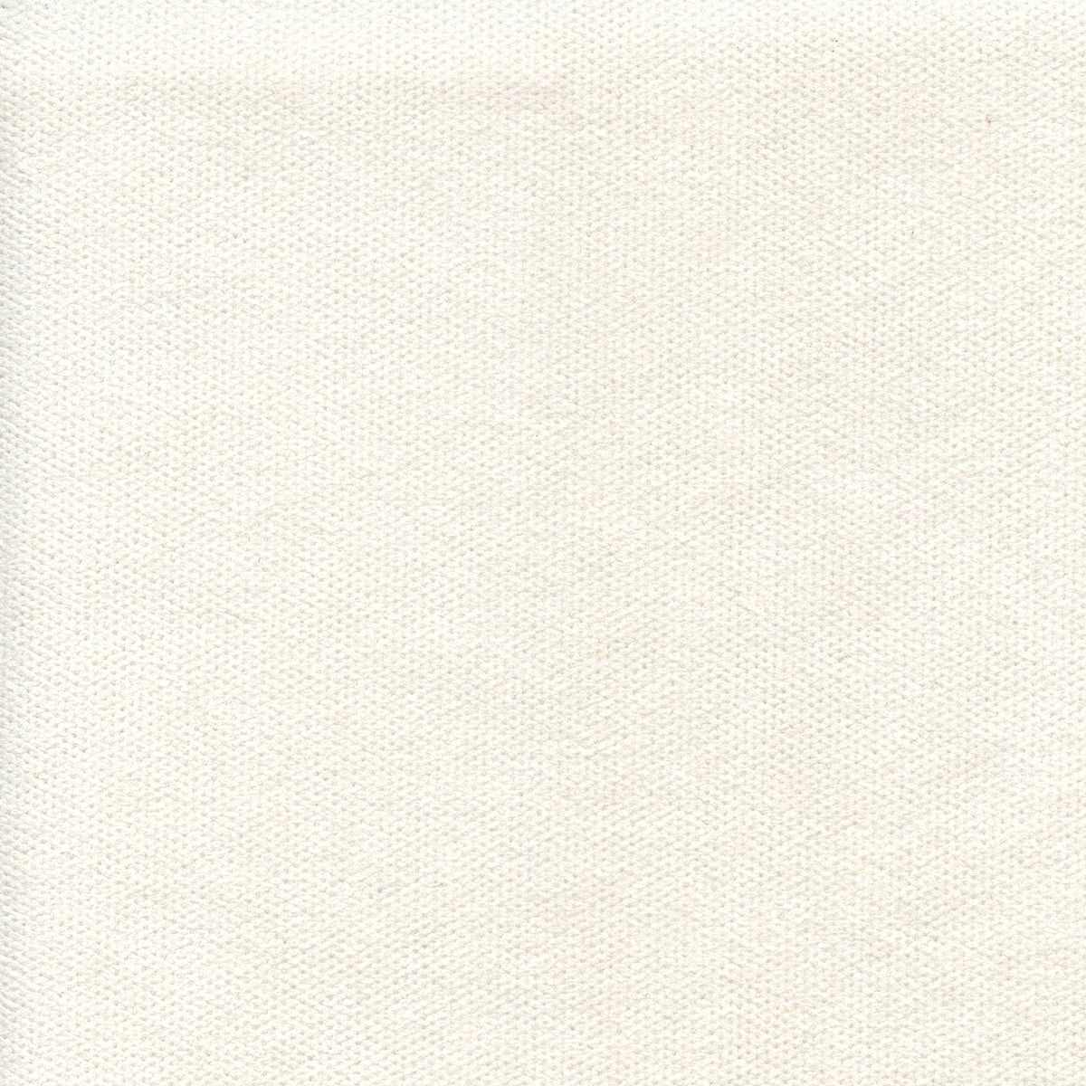 Linea 219800 Lapin