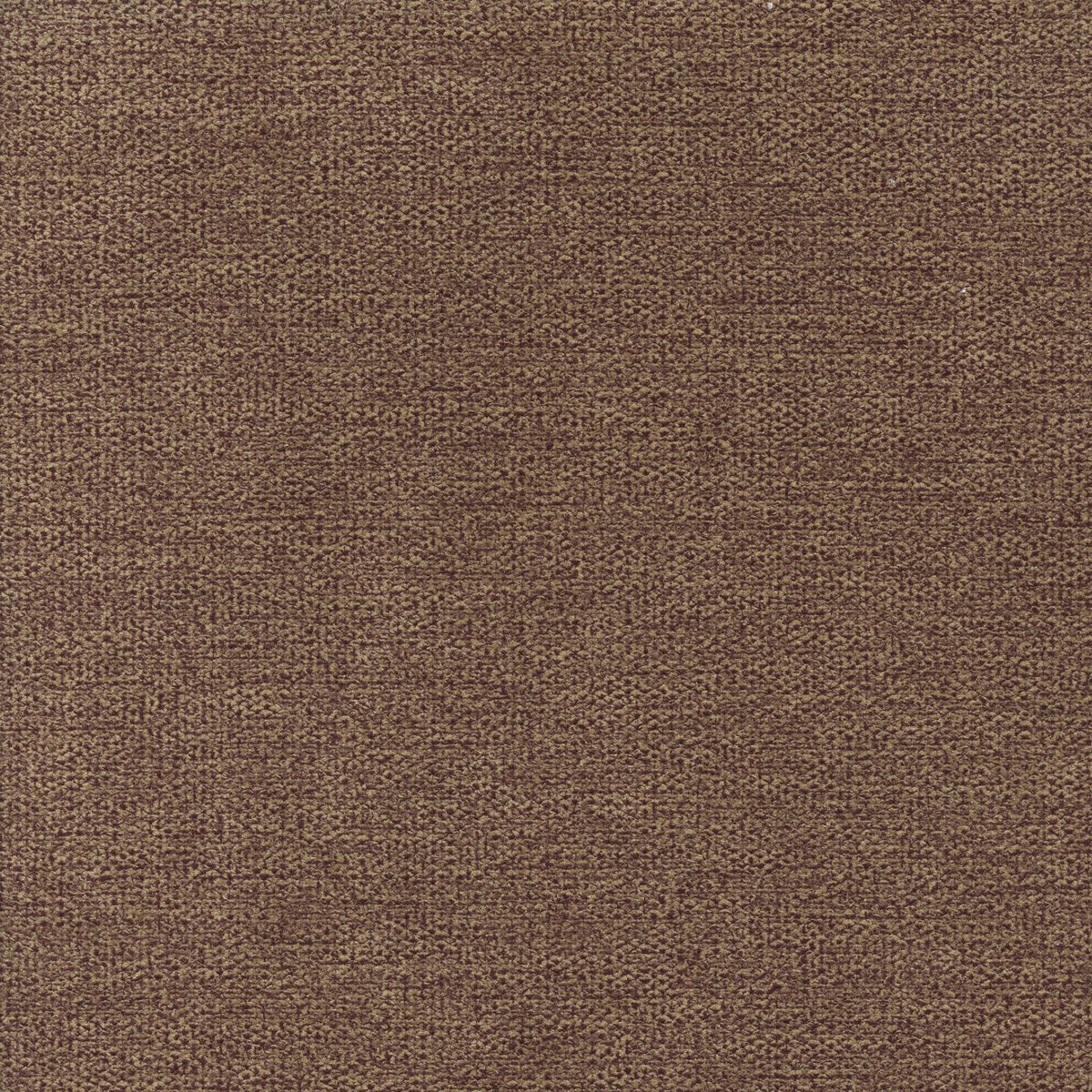 Linea 219804 Clifton