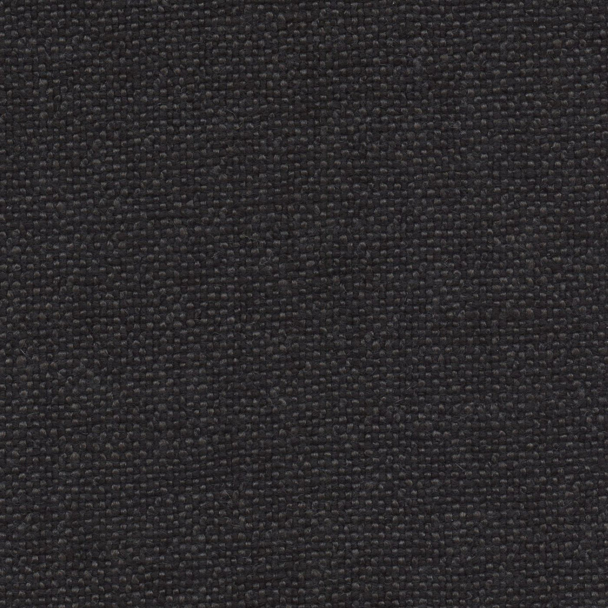 Linotte 192855 Noir