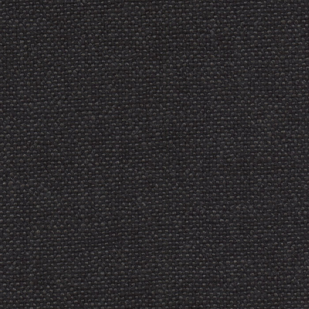 Linotte 192855 Noir