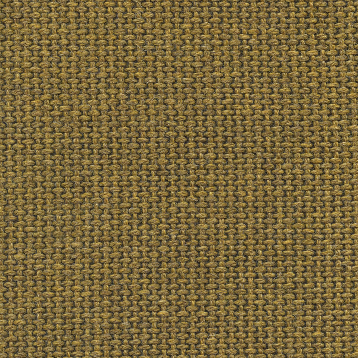 Linx 193867 Jupiter