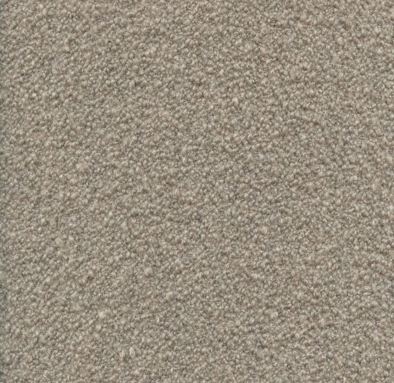 Loop 19053 Raw Sugar