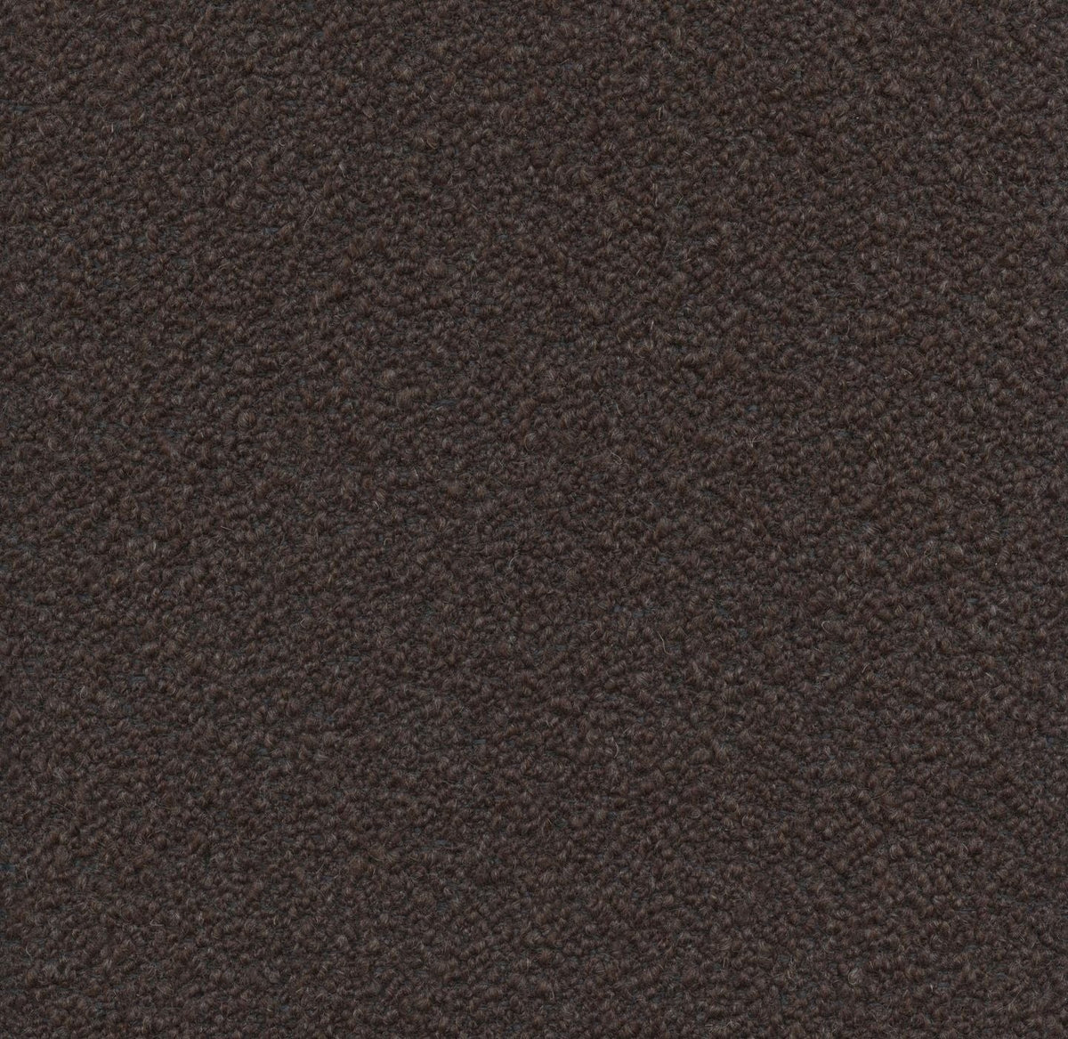 Loop 19056 Americano