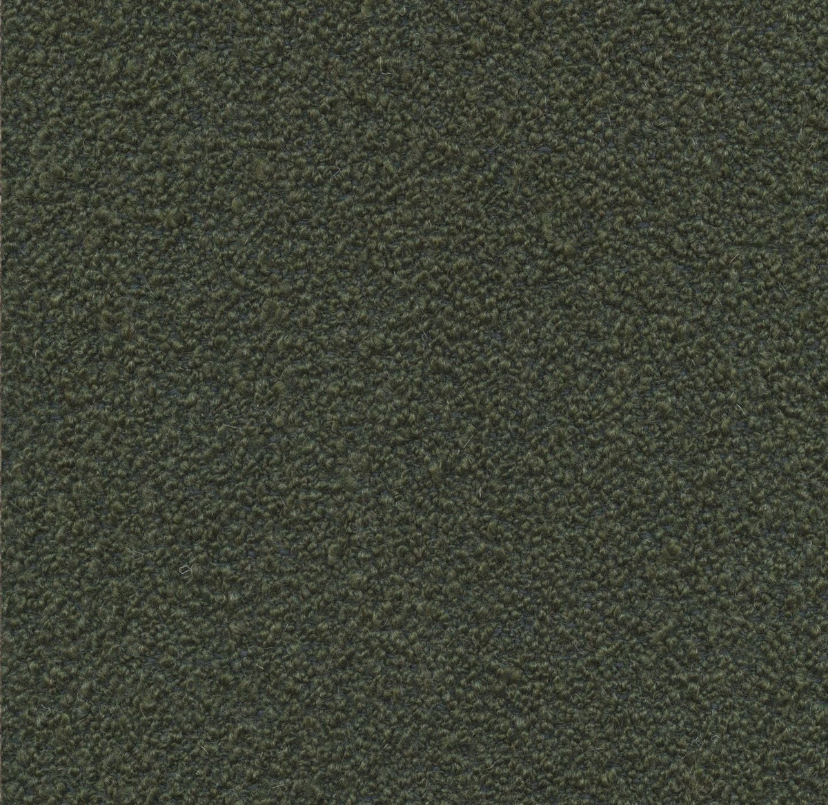 Loop 19057 Lush