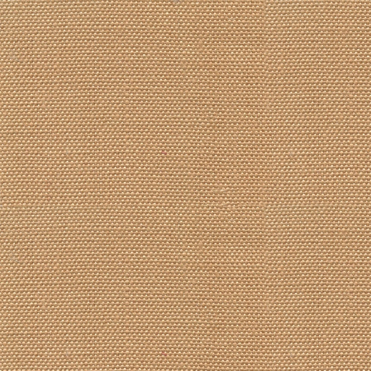 Mateo Yt0009 Wheat