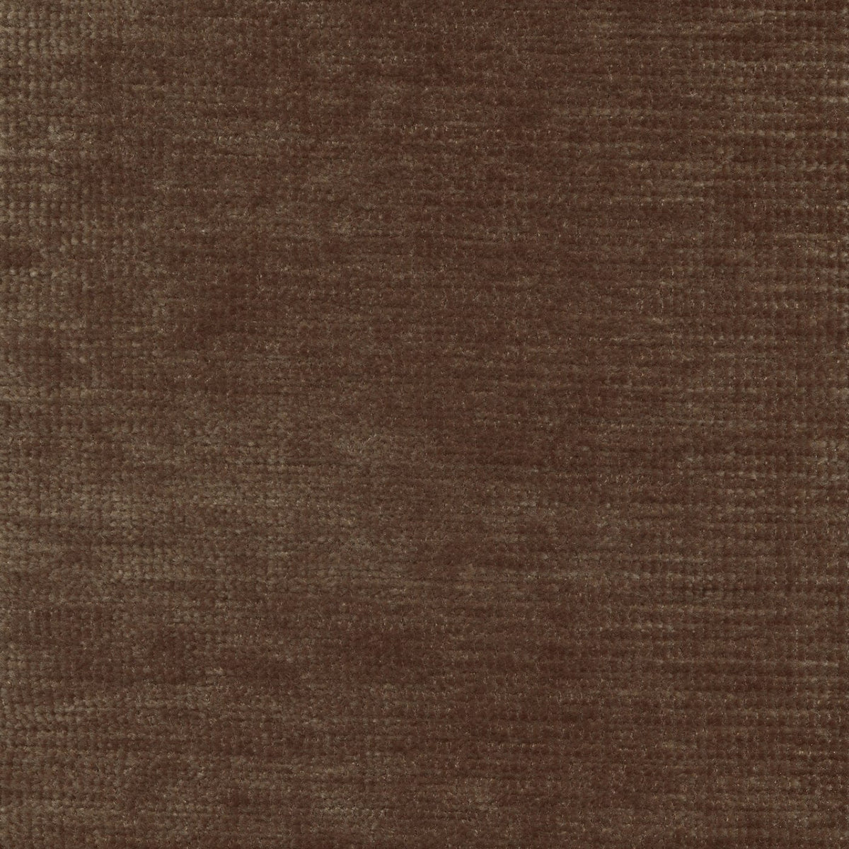 Model 220503 Sieni