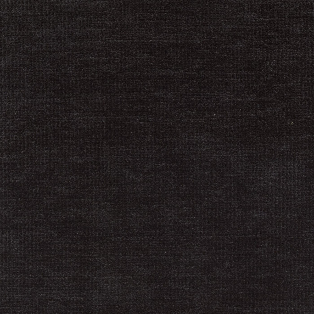 Model 220509 Shadow