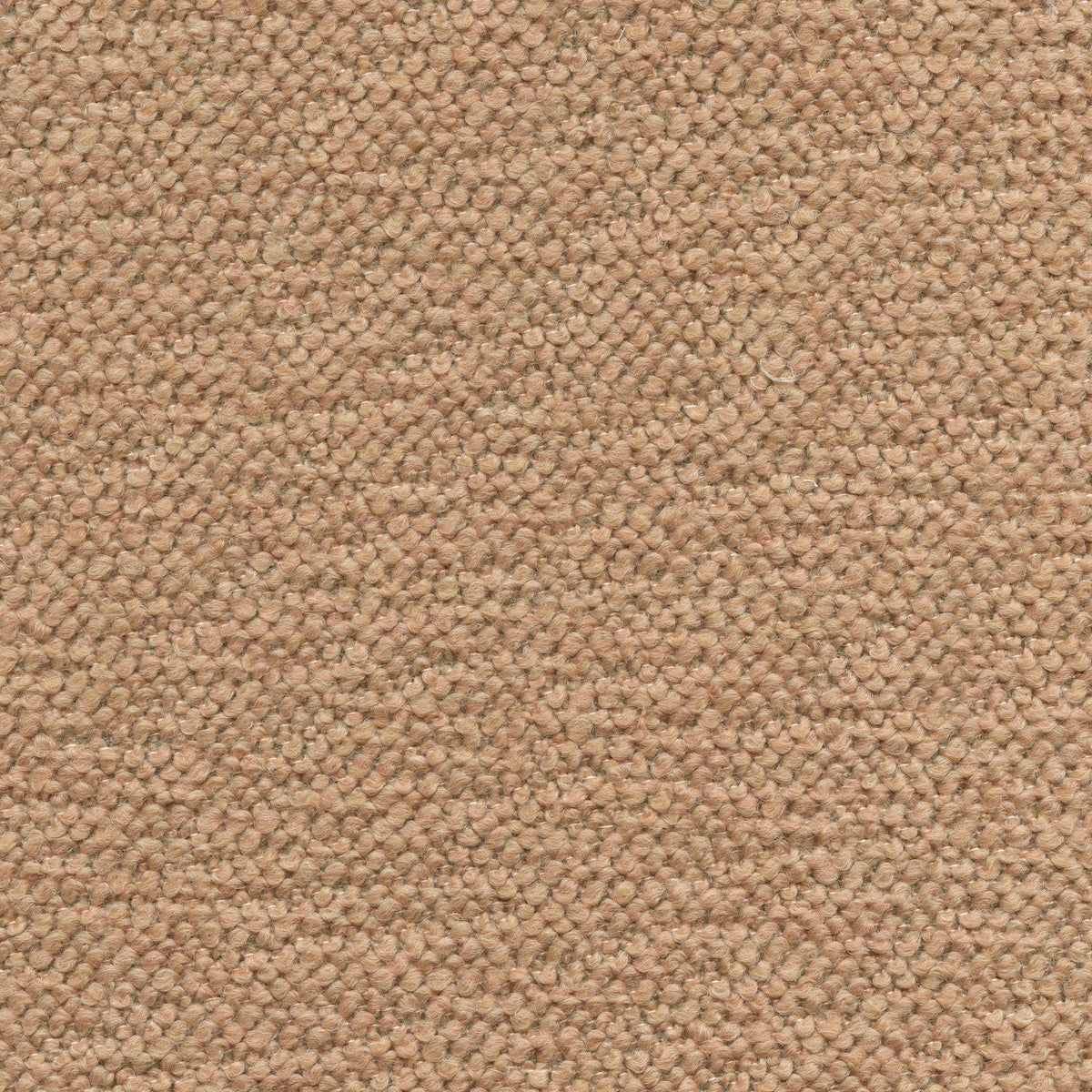 Pacha 194351 Praline