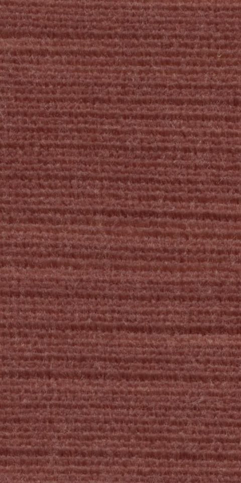 Panda 101411 Rare Earth