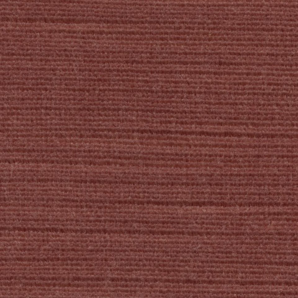 Panda 101411 Rare Earth