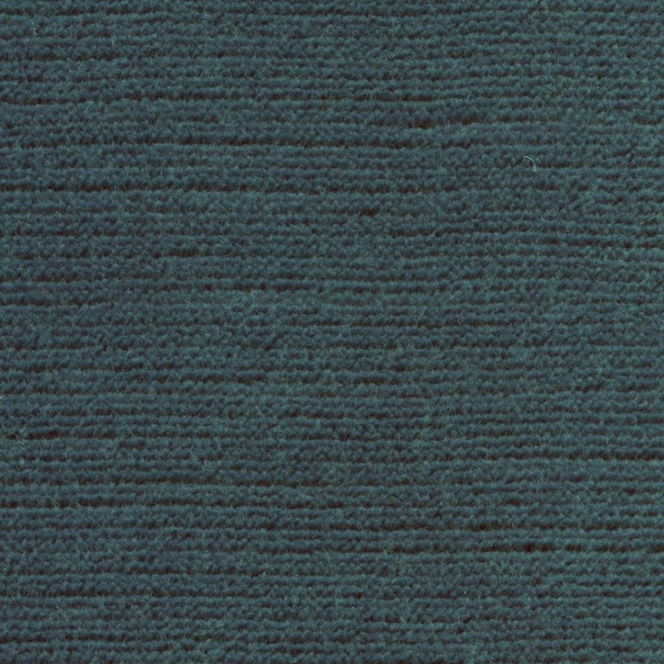 Panda 101416 Shoreline