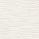 Panda 101430 Supernova