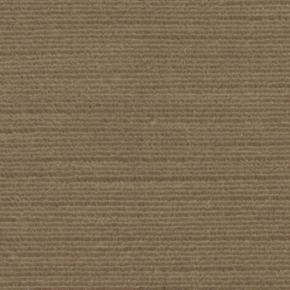 Panda 101439 Vast Land