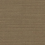 Panda 101439 Vast Land