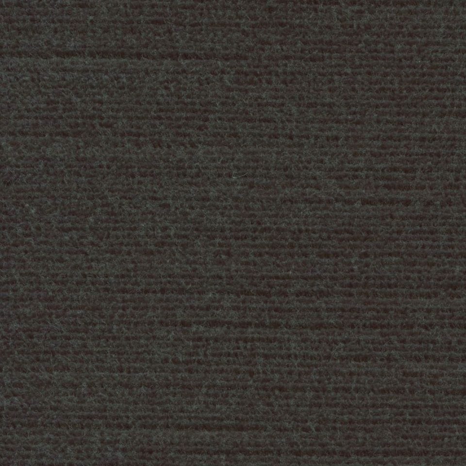 Panda 101443 Fern Gully