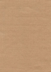 Rooney 194250 Skins