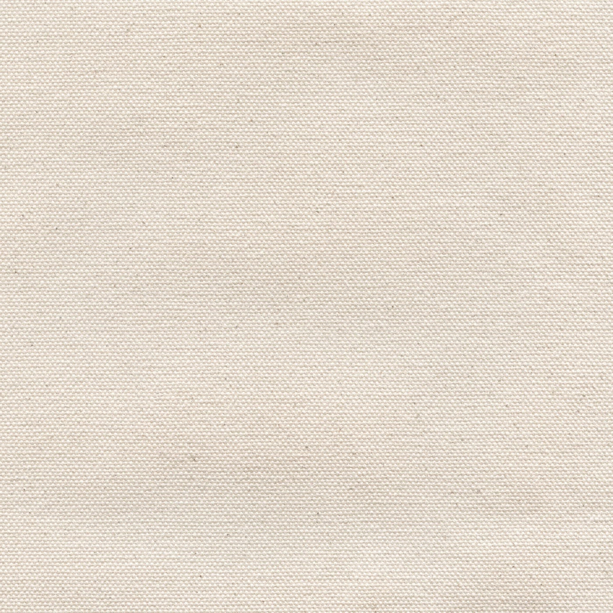 Roots Organic 192952 Parchment