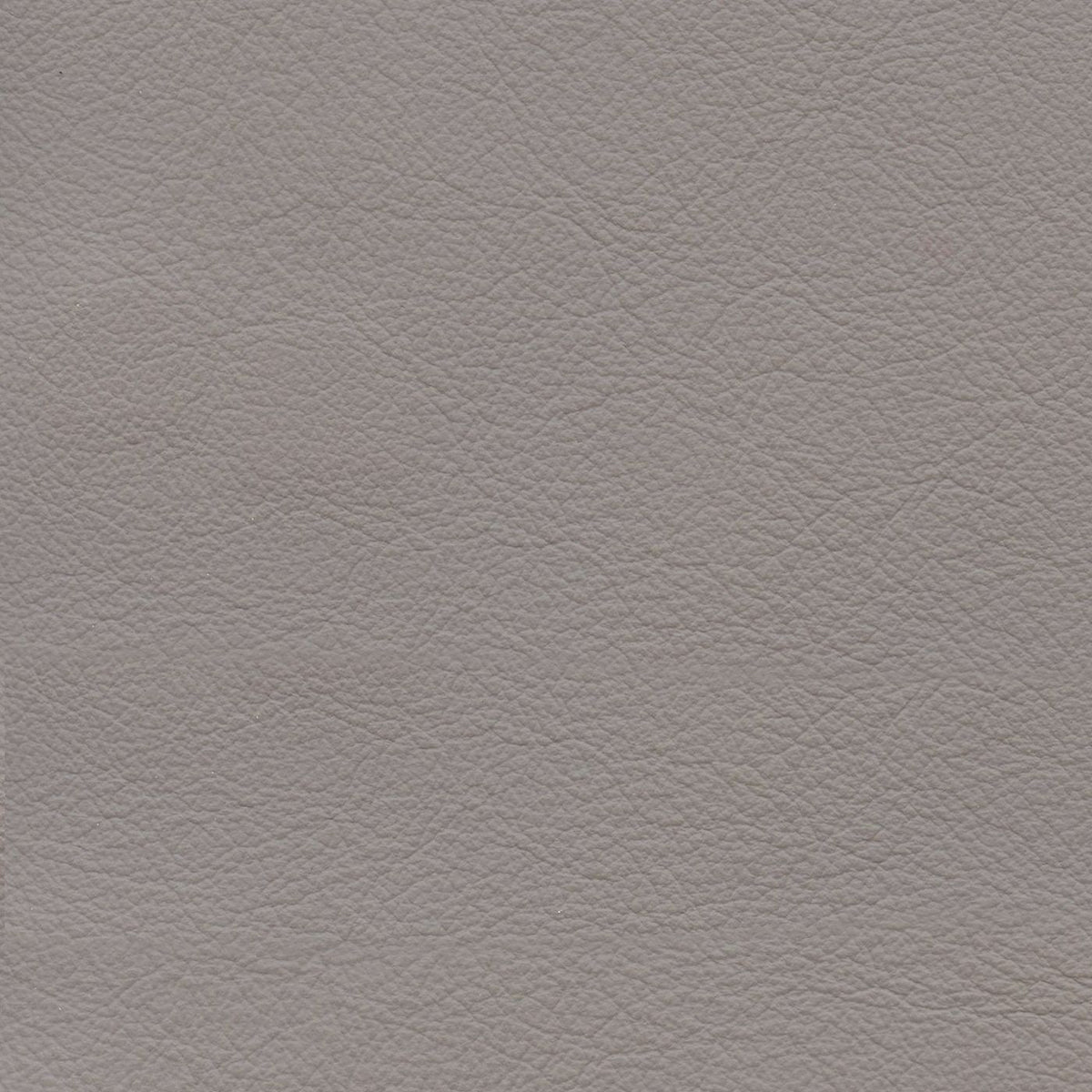 Roxbury Cl626 Grey